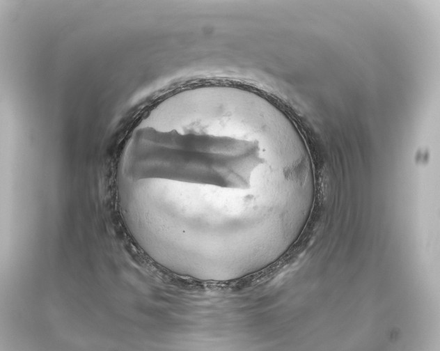 X0000093611494200711051208