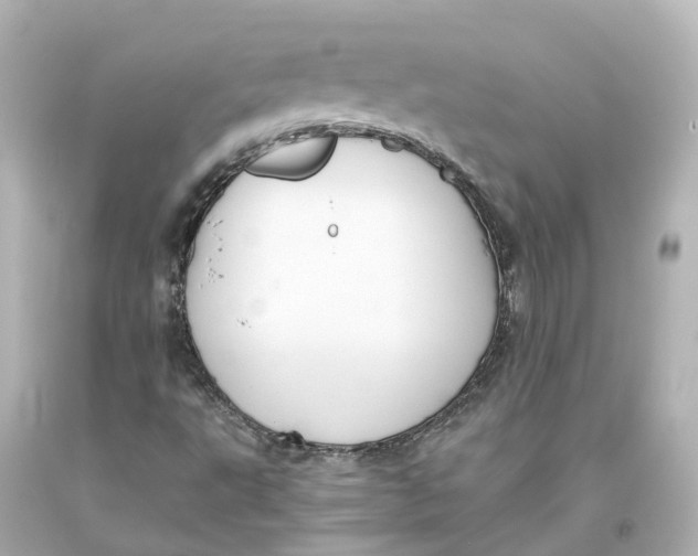 X0000093611495200711051208