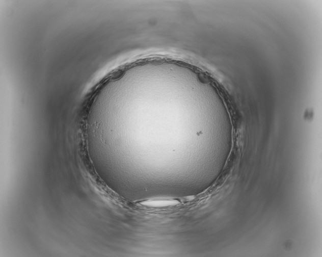 X0000093611496200711051208