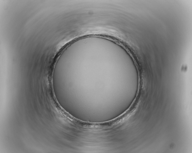 X0000093611497200711051208
