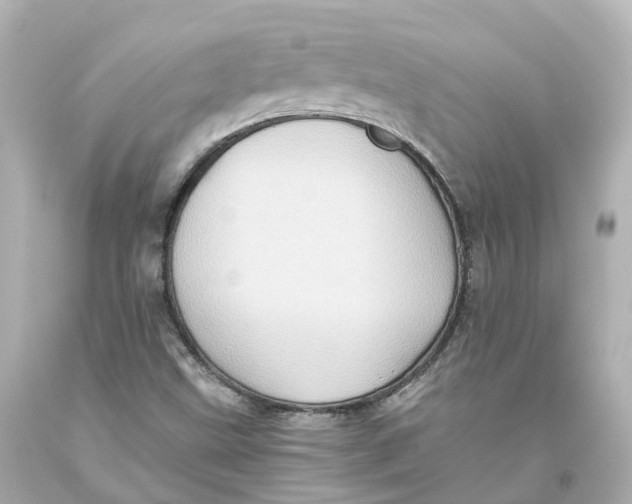 X0000093611499200711051208
