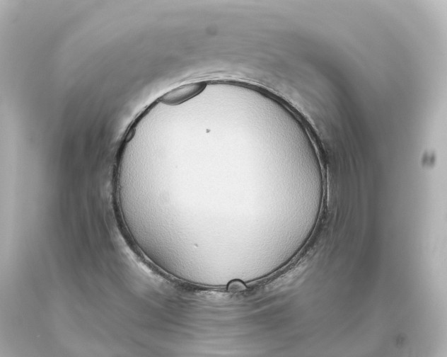 X0000093611500200711051208