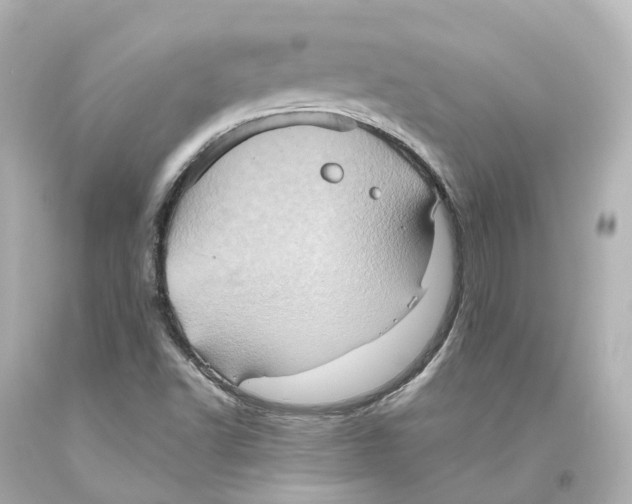 X0000093611502200711051208