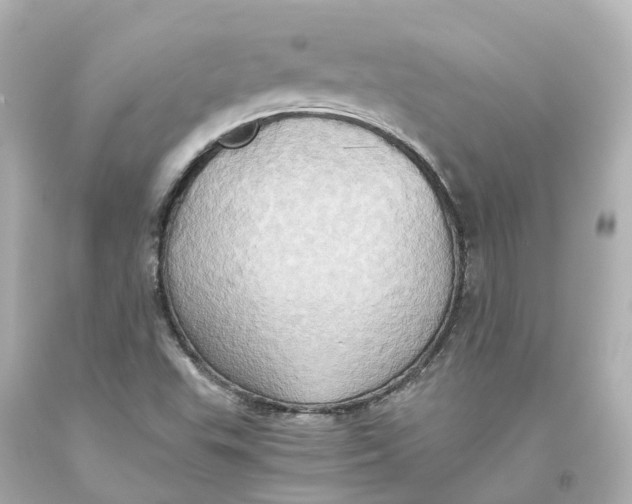 X0000093611503200711051208