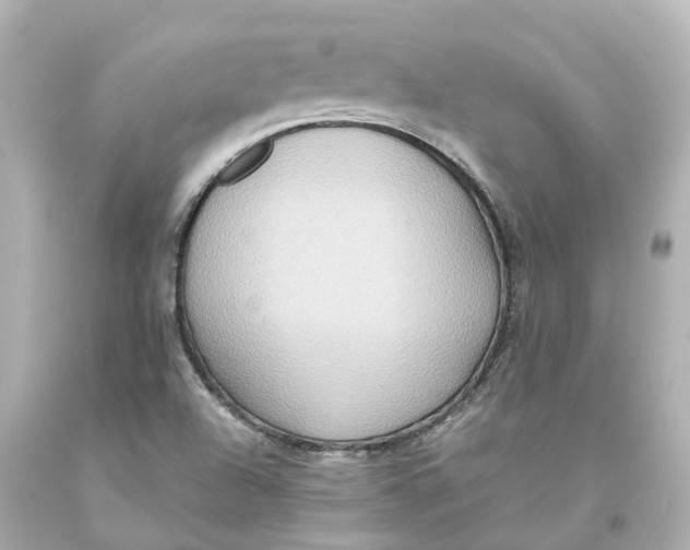 X0000093611504200711051208