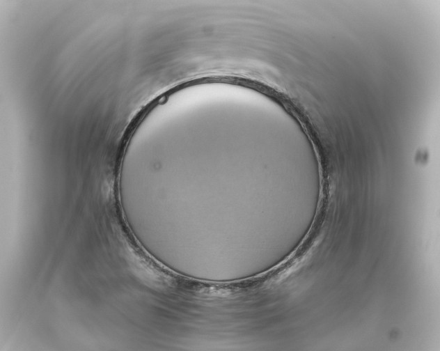 X0000093611505200711051208