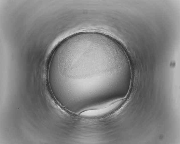 X0000093611506200711051208