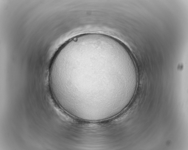 X0000093611507200711051208