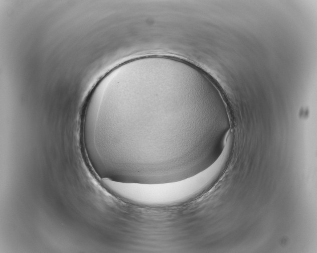 X0000093611508200711051208