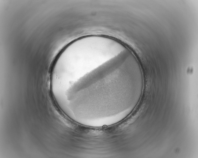 X0000093611509200711051208