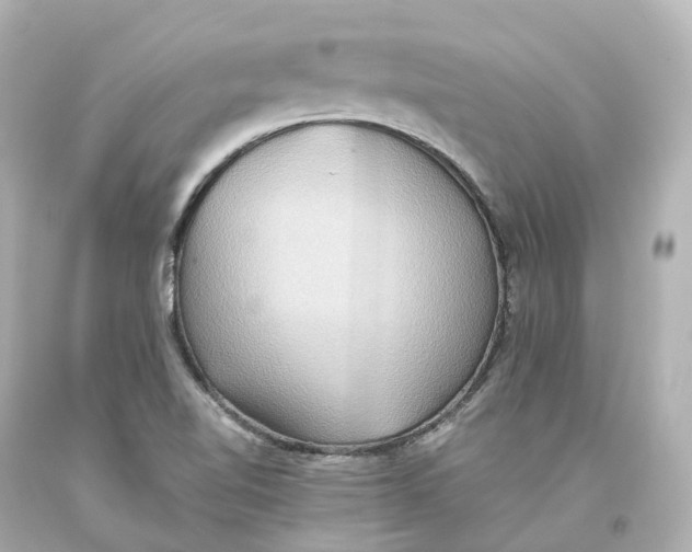 X0000093611510200711051208