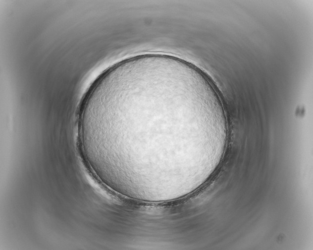 X0000093611511200711051208
