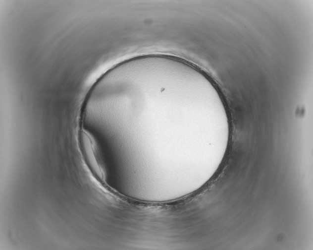 X0000093611512200711051208