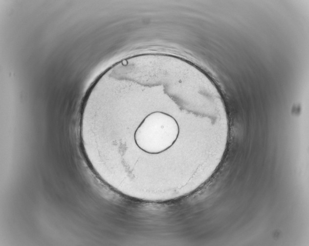 X0000093611514200711051208