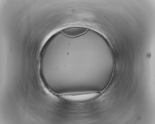 X0000093611515200711051208