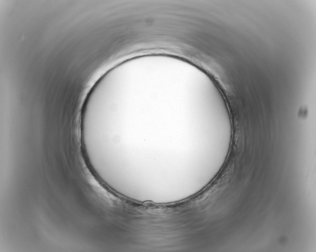 X0000093611516200711051208