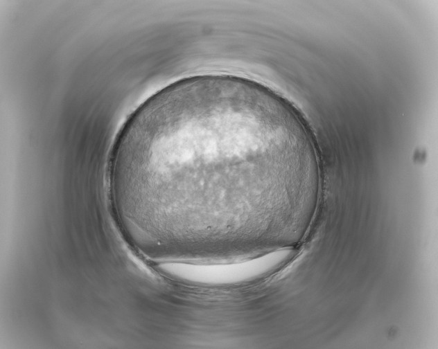 X0000093611517200711051208