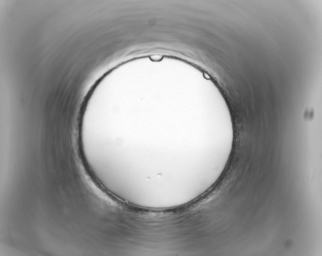 X0000093611518200711051208
