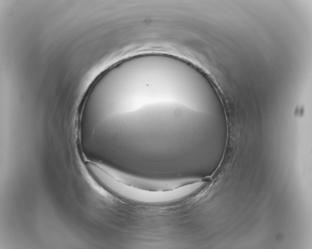 X0000093611519200711051208