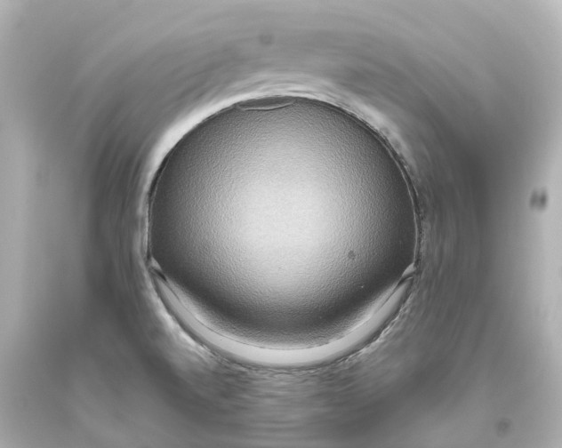 X0000093611520200711051208