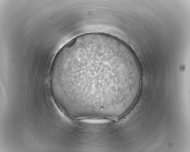 X0000093611521200711051208