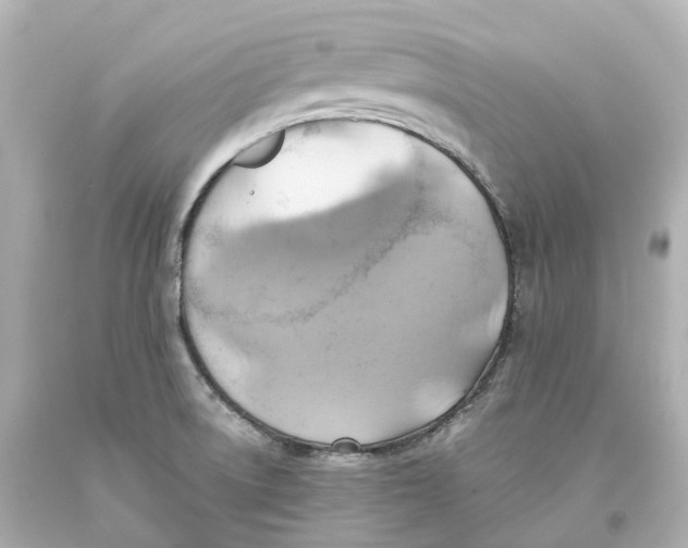 X0000093611522200711051208