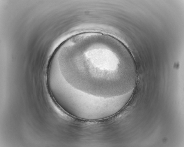 X0000093611523200711051208
