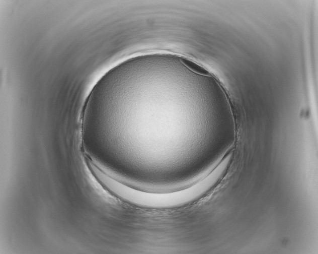 X0000093611524200711051208