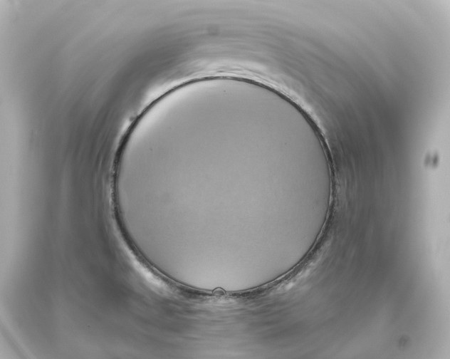 X0000093611525200711051208