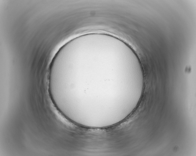 X0000093611526200711051208