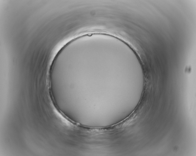 X0000093611527200711051209