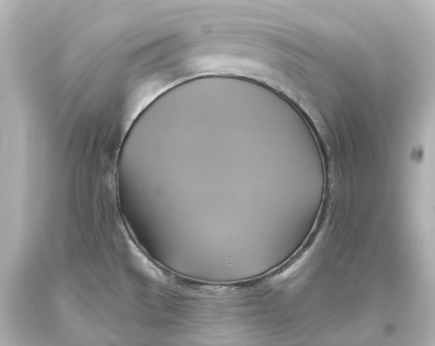 X0000093611529200711051209