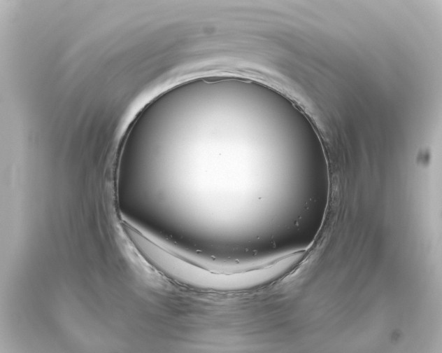 X0000093611530200711051209