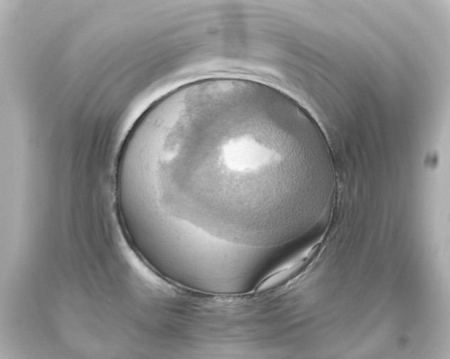 X0000093611531200711051209