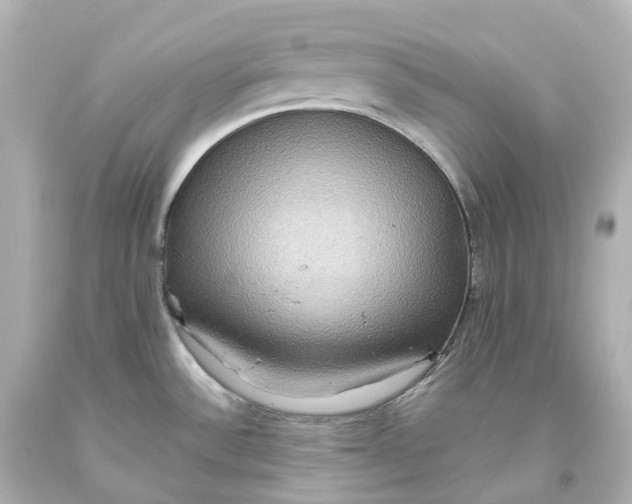 X0000093611532200711051209