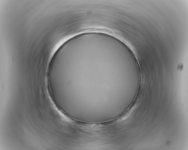 X0000093611533200711051209
