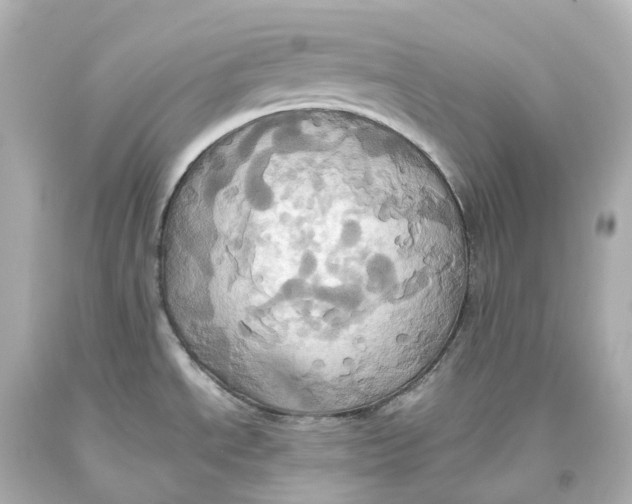 X0000093611534200711051209