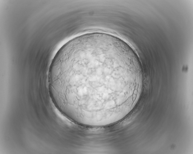 X0000093611535200711051209