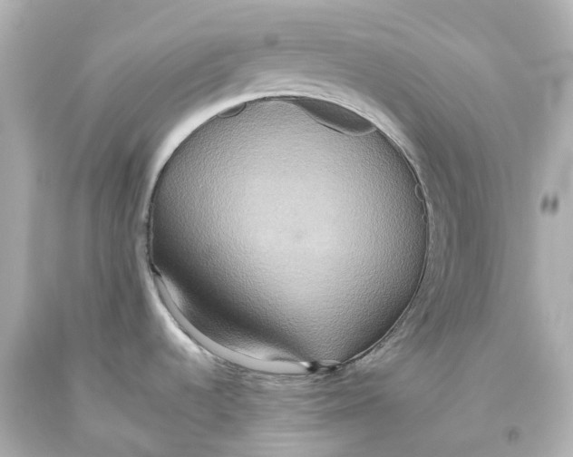 X0000093611536200711051209
