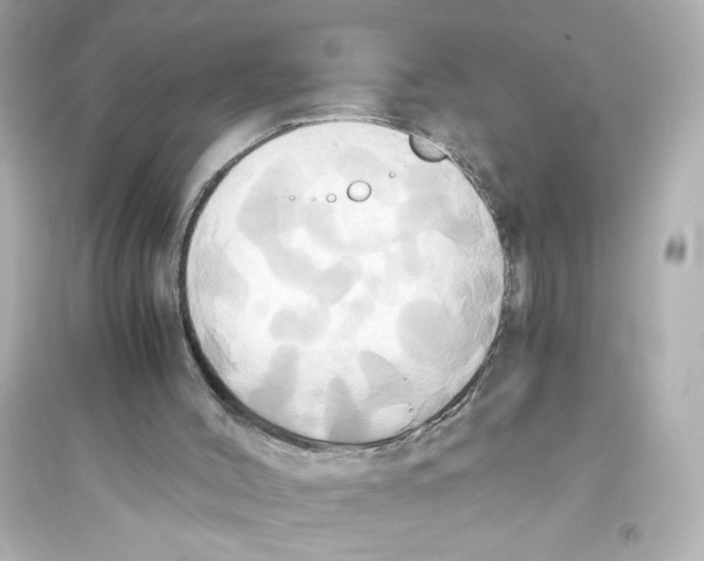 X0000093610004200711121223