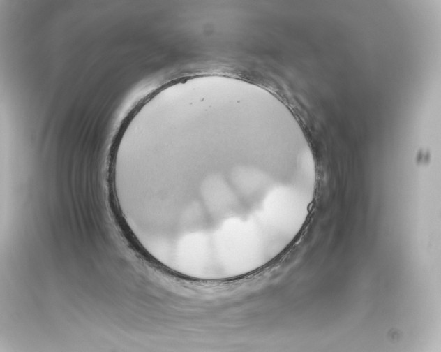 X0000093610006200711121223
