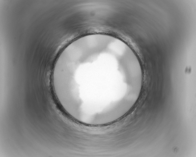 X0000093610010200711121223