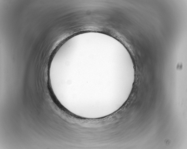 X0000093610011200711121223