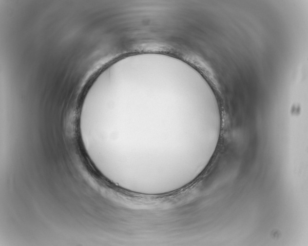 X0000093610012200711121223