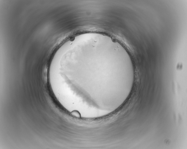 X0000093610014200711121223