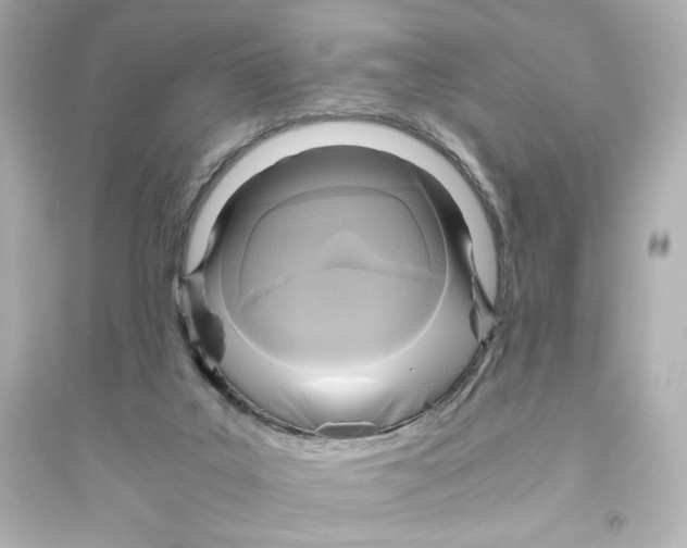 X0000093610019200711121223