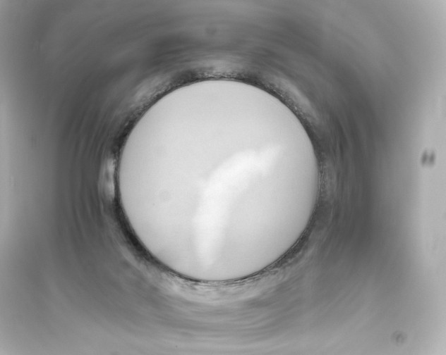 X0000093610022200711121223