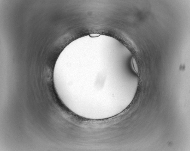 X0000093610025200711121223