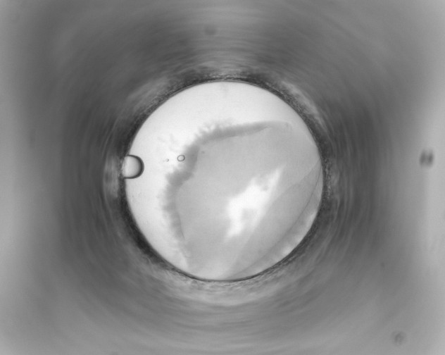 X0000093610026200711121223