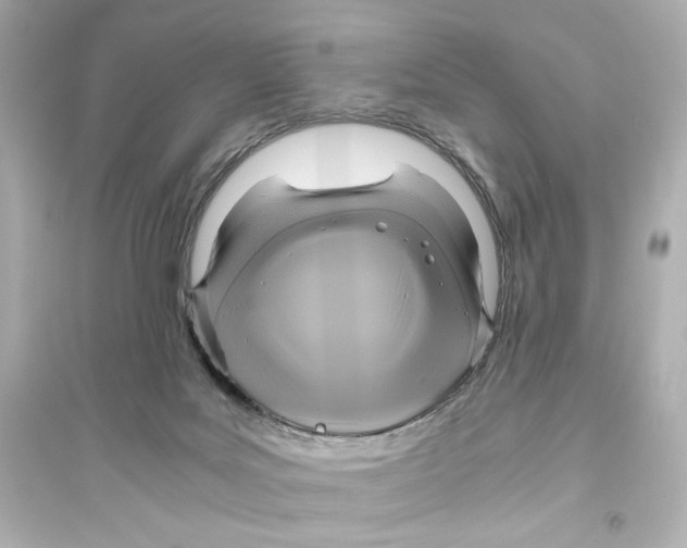 X0000093610027200711121223